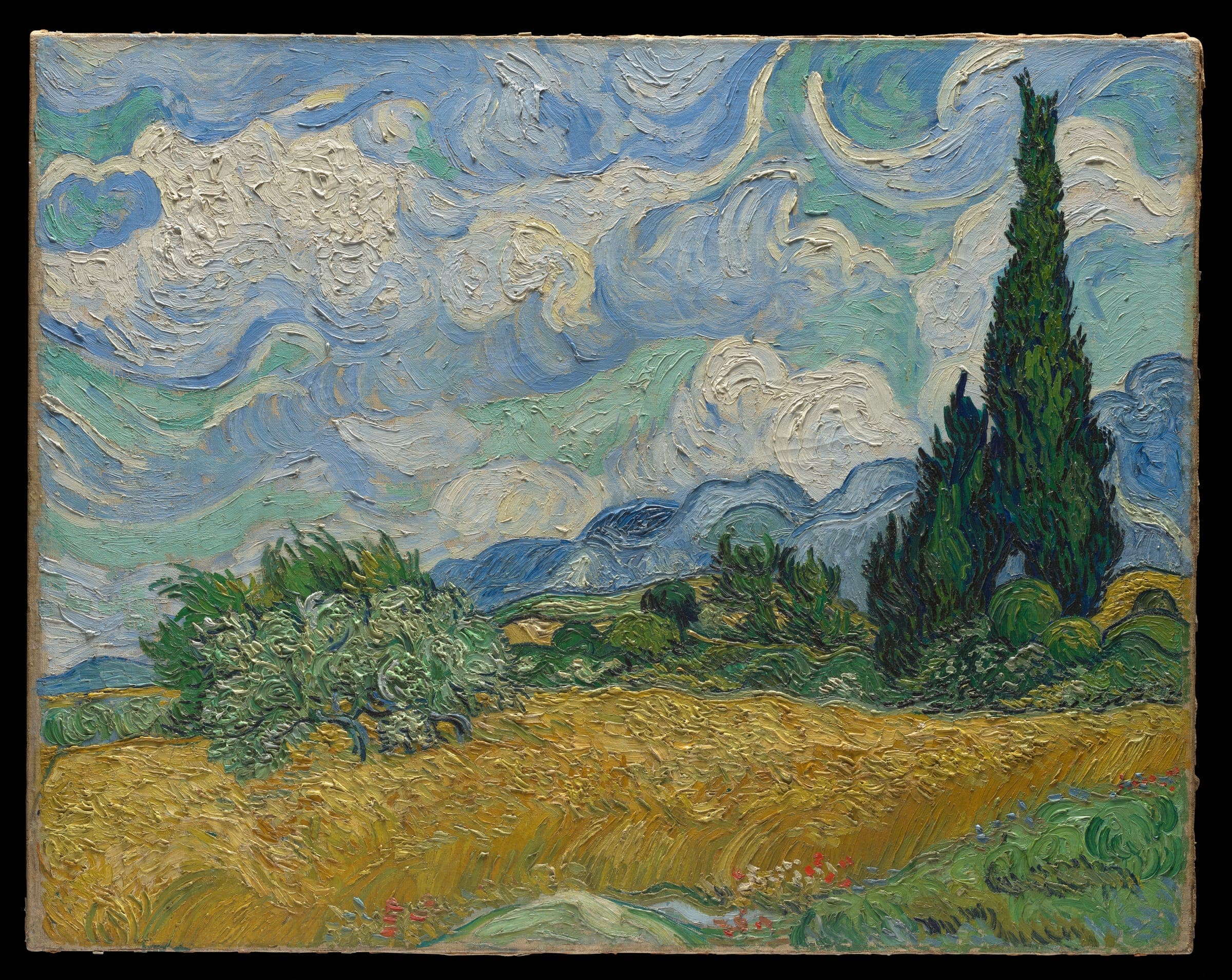 A golden wheat field under a swirling blue and white sky, with dark cypress trees rising on the right and blue hills behind.